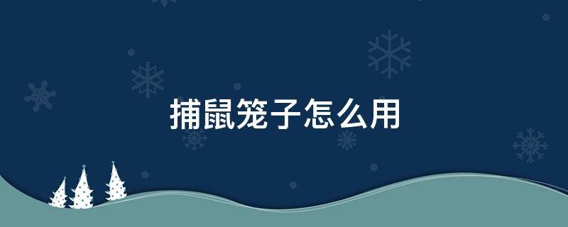 捕鼠笼子怎么用 捕鼠笼子怎么用?