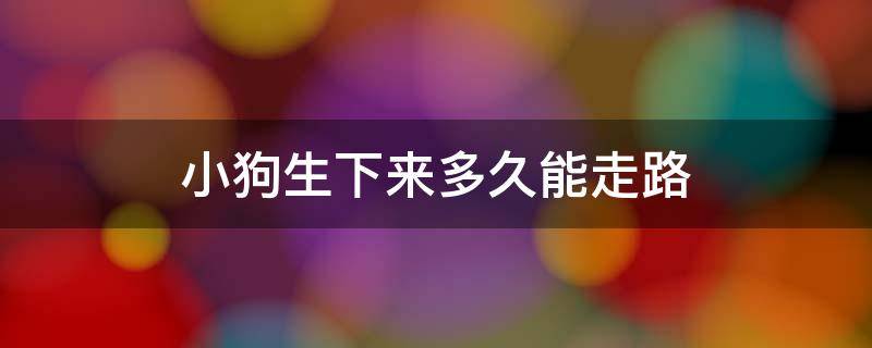 小狗生下来多久能走路 刚生下的小狗多久可以走路