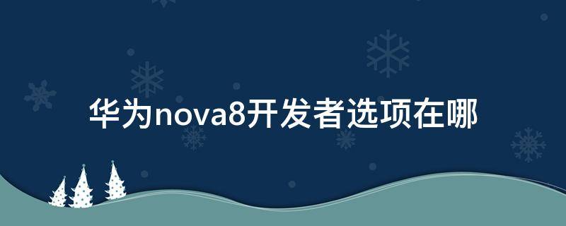 华为nova8开发者选项在哪（华为nova8开发者选项在哪打开）