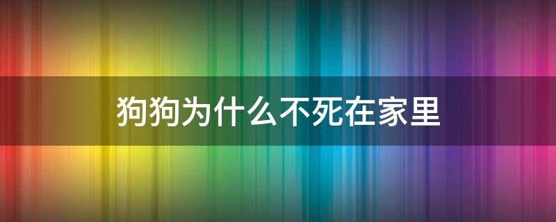 狗狗为什么不死在家里（为什么狗都不死在家里）