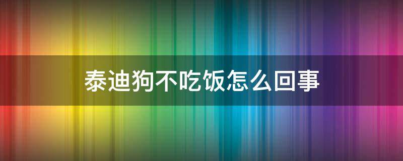 泰迪狗不吃饭怎么回事 泰迪狗狗不吃饭怎么办