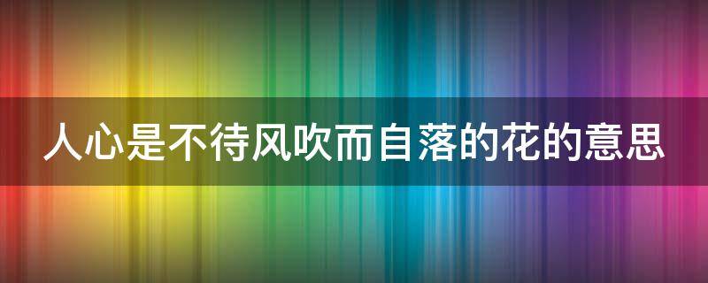 人心是不待风吹而自落的花的意思 一句话暗示缘分已尽