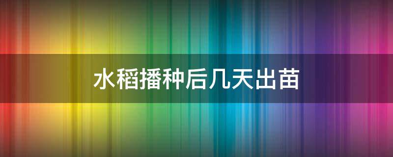 水稻播种后几天出苗 水稻播种到出苗时间