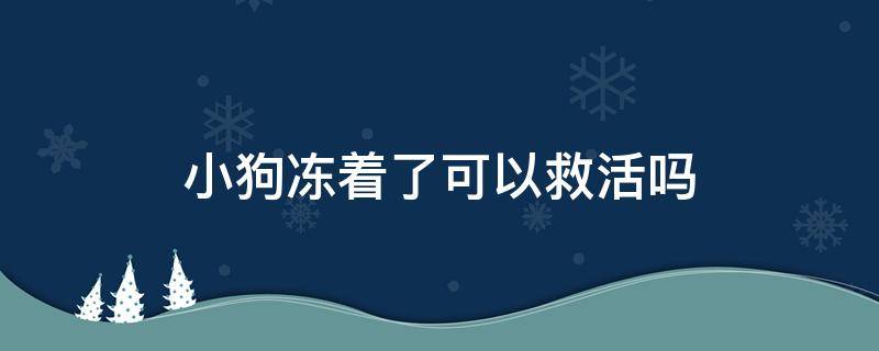 小狗冻着了可以救活吗 狗冻僵了能救活吗