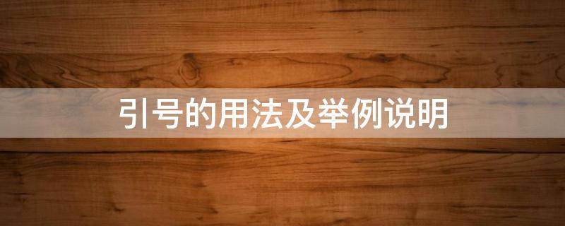 引号的用法及举例说明 引号的用法及举例说明课件