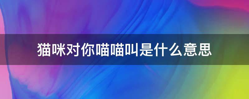 猫咪对你喵喵叫是什么意思 猫咪对你喵喵叫是什么意思?