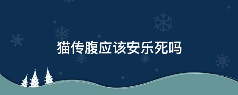 猫传腹应该安乐死吗 猫传腹放弃治疗 什么时候安乐