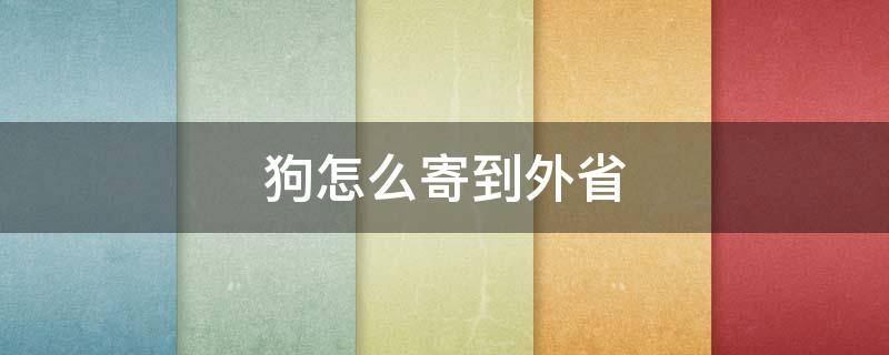狗怎么寄到外省（狗狗可以寄回省外吗）