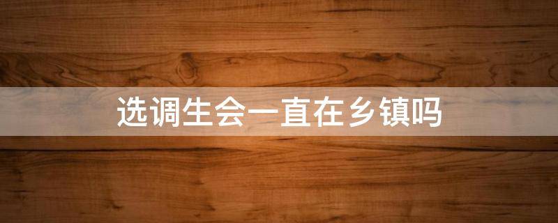 选调生会一直在乡镇吗 普通选调生都是去乡镇工作的吗