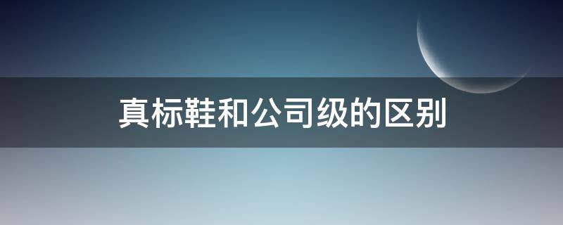 真标鞋和公司级的区别（真标鞋好还是公司级好）