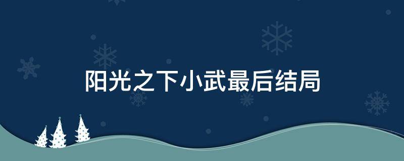 阳光之下小武最后结局（阳光之下为什么小武是男主）