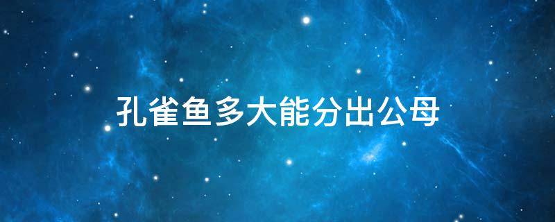 孔雀鱼多大能分出公母 孔雀鱼多长时间能分出公母