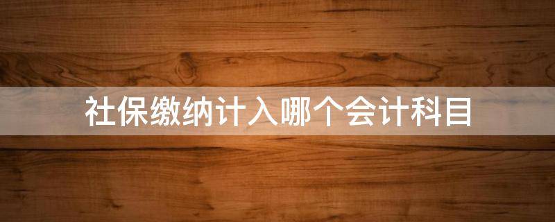 社保缴纳计入哪个会计科目 会计缴纳社保是什么科目