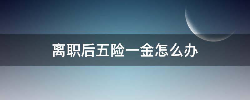 离职后五险一金怎么办（正式工离职后五险一金怎么办）