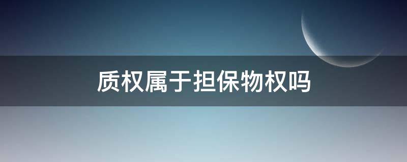 质权属于担保物权吗（质押权属于担保物权吗）