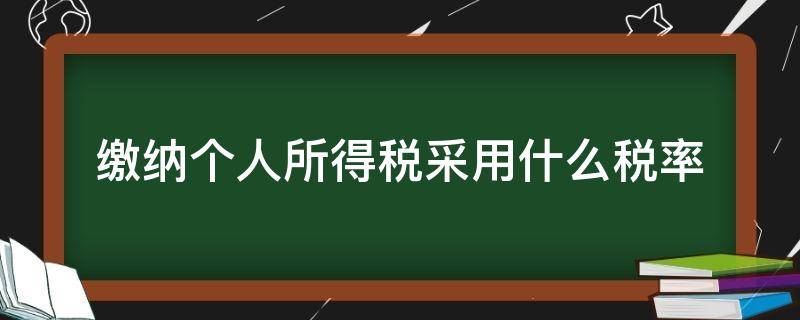 缴纳个人所得税采用什么税率（所得缴纳个人所得税采用什么税率）