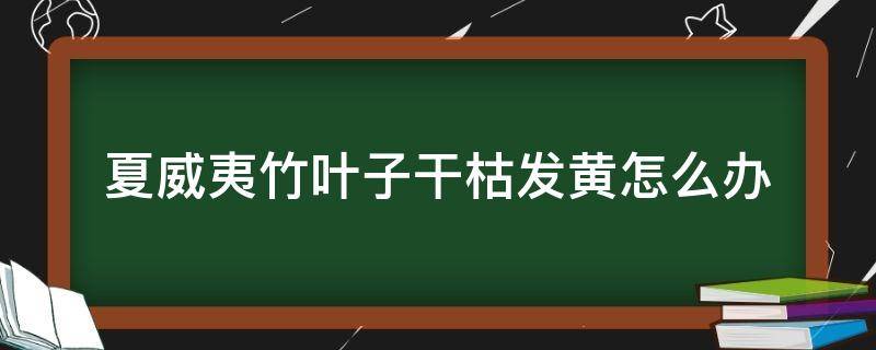 夏威夷竹叶子干枯发黄怎么办 夏威夷竹夏天叶子都发黄变色是怎么一回事?