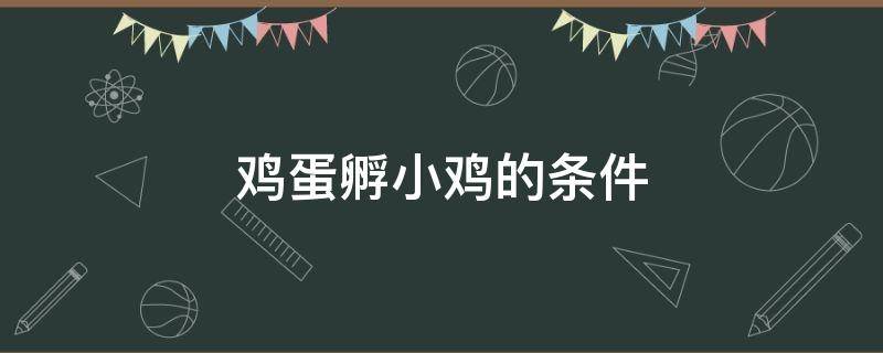 鸡蛋孵小鸡的条件 鸡蛋孵小鸡的条件和时间
