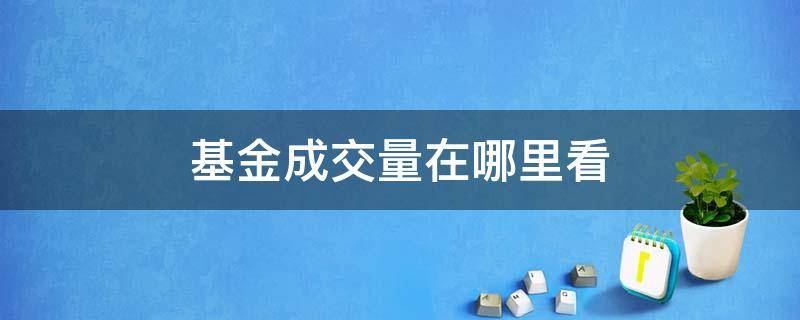 基金成交量在哪里看（基金的成交量在哪里看）