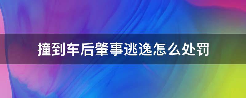 撞到车后肇事逃逸怎么处罚（撞车之后逃逸了会怎么处罚）