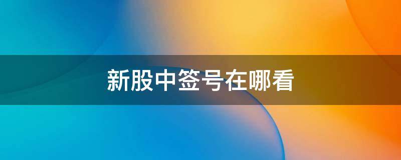 新股中签号在哪看 新股的中签号在哪里查询