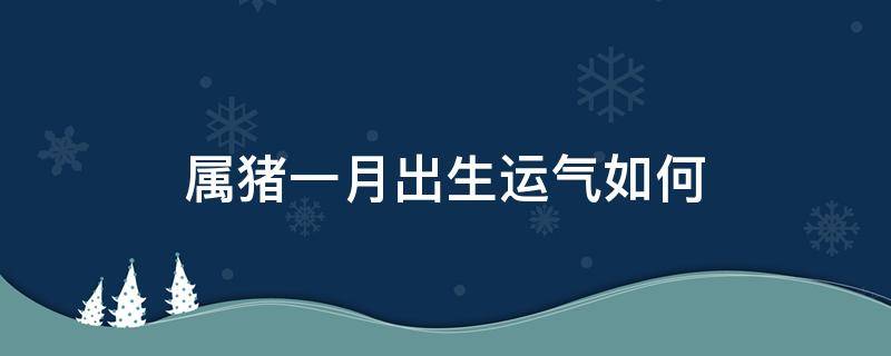 属猪一月出生运气如何 属猪农历1月出生的人命运