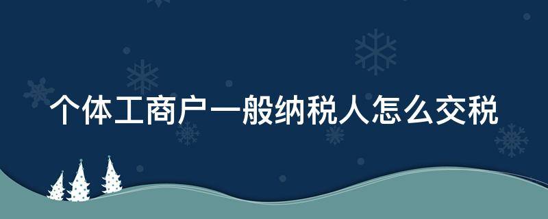 个体工商户一般纳税人怎么交税（个体工商户一般纳税人需要交哪些税）