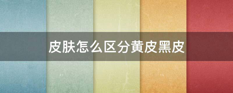 皮肤怎么区分黄皮黑皮（怎么区分黄皮和黑皮）
