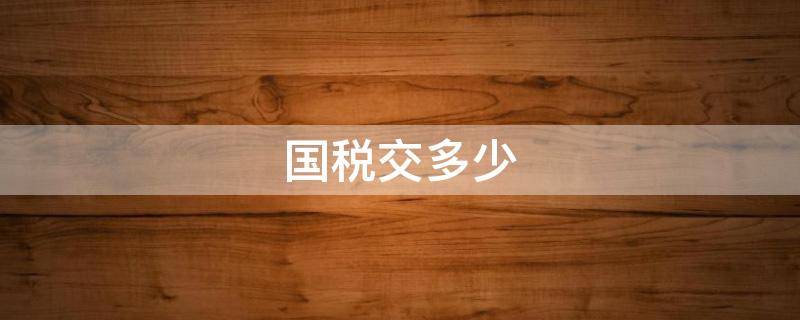 国税交多少 国税交多少钱