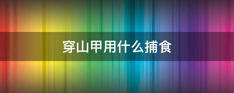 穿山甲用什么捕食 穿山甲用什么捕食图片