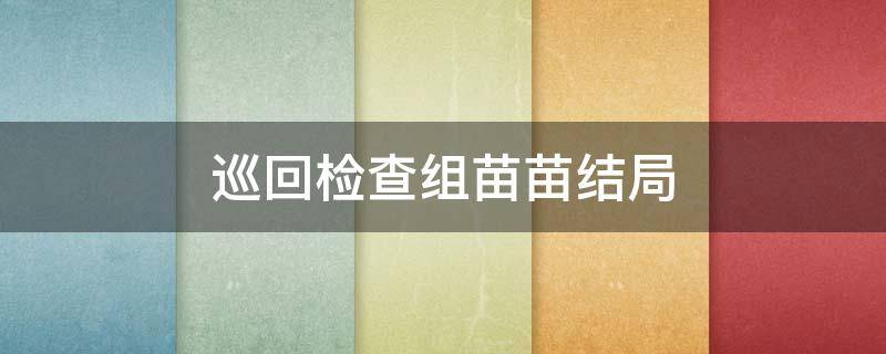 巡回检查组苗苗结局 巡回检查组苗苗第二个消息