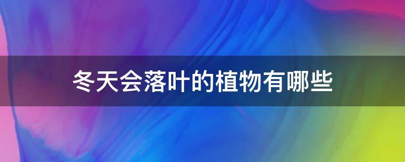 冬天会落叶的植物有哪些 冬天会落叶的植物有哪些不会落叶的植物有哪些