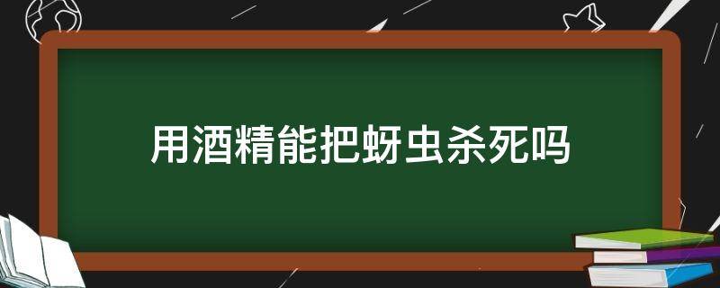 用酒精能把蚜虫杀死吗（酒精能灭蚜虫吗）