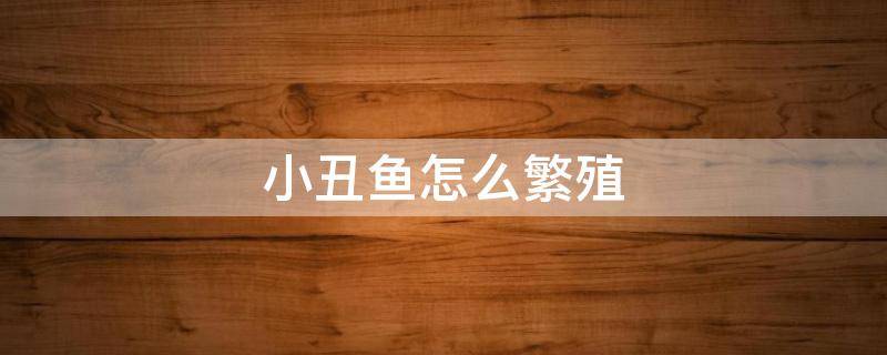 小丑鱼怎么繁殖 小丑鱼怎么繁殖下一代