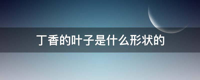 丁香的叶子是什么形状的（丁香分为什么和什么,丁香的叶子是什么形状的）