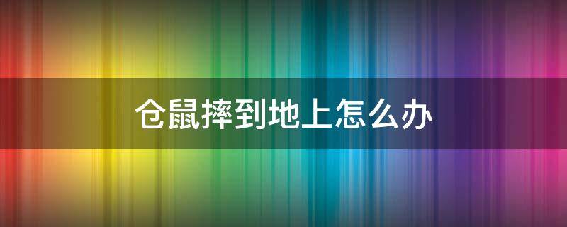 仓鼠摔到地上怎么办 仓鼠摔到地上怎么办叫了几下