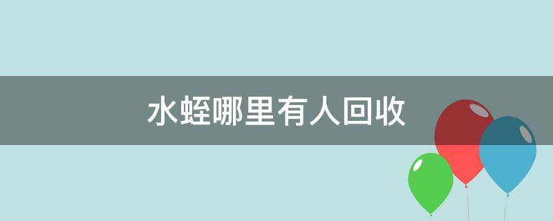 水蛭哪里有人回收 回收水蛭联系电话