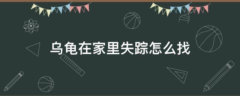 乌龟在家里失踪怎么找 乌龟在家里走丢了怎么找