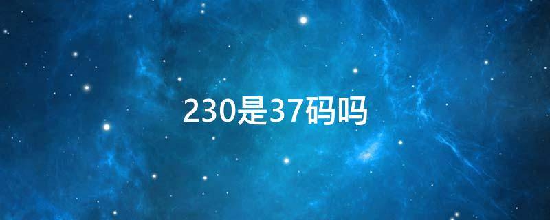 230是37码吗 37码的是230还是235