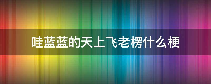 哇蓝蓝的天上飞老楞什么梗 蓝蓝的天上飞老楞出处