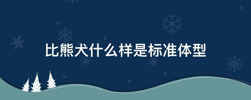 比熊犬什么样是标准体型（比熊犬的标准体重）