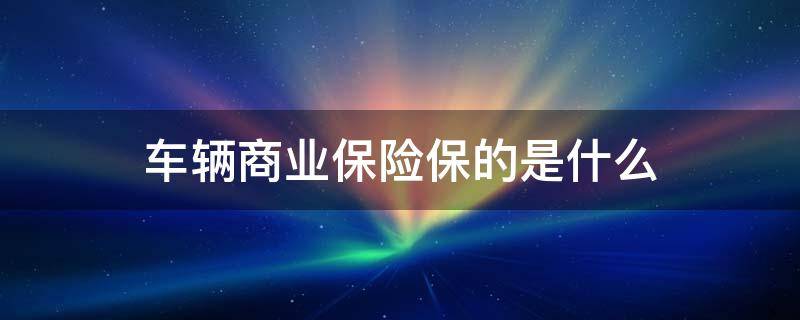 车辆商业保险保的是什么（车辆商业保险指的是什么）