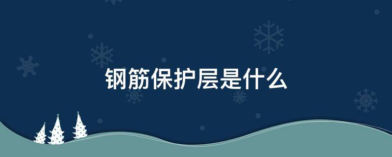 钢筋保护层是什么（钢筋保护层是什么标高怎么计算）