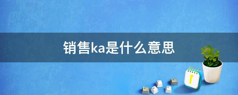 销售ka是什么意思（ka销售是做什么的）