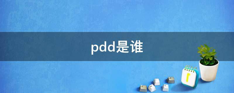 pdd是谁（刘谋）