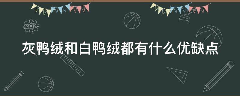 灰鸭绒和白鸭绒都有什么优缺点（灰鸭绒和白鸭绒都有什么优缺点呢）