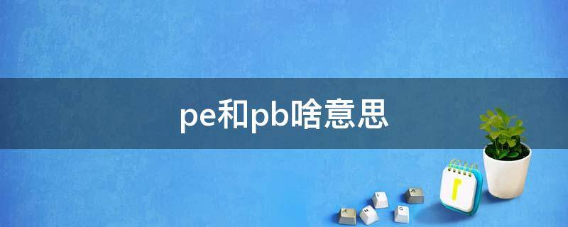 pe和pb啥意思（pe与pb啥区别）