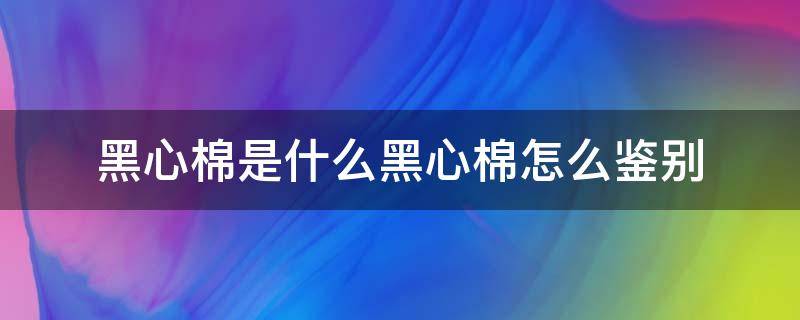 黑心棉是什么黑心棉怎么鉴别 黑心棉怎么辨别