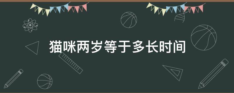 猫咪两岁等于多长时间 猫咪两周岁是几个月