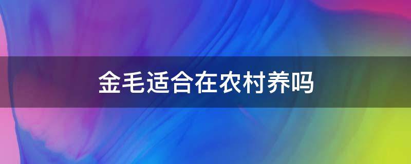 金毛适合在农村养吗 金毛犬适不适合在农村放养?